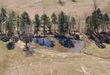 5665 Hwy 53 - Photo 10