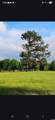 5665 Hwy 53 - Photo 40