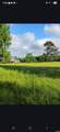 5665 Hwy 53 - Photo 41
