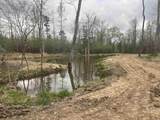 693 Little Blakely Creek Road - Photo 38