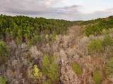 000 Hickory Hill - Photo 12