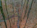 000 Hickory Hill - Photo 14