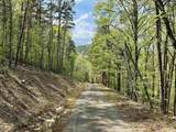 000 Lake Ouachita Trail - Photo 10