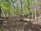000 Lake Ouachita Trail - Photo 14