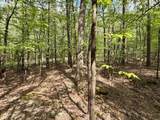 000 Lake Ouachita Trail - Photo 15