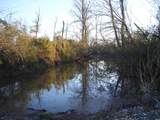 5633 Hwy 53 - Photo 23
