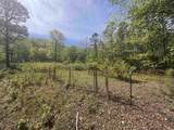 145 Crepe Myrtle Trail - Photo 6