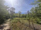 145 Crepe Myrtle Trail - Photo 8