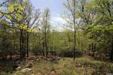 00 Mt Riante Road - Photo 12