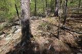 00 Mt Riante Road - Photo 19