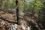 00 Mt Riante Road - Photo 21