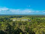 356 Trap Mountain Road - Photo 1