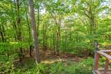 356 Trap Mountain Road - Photo 36