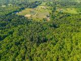 356 Trap Mountain Road - Photo 44