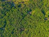 356 Trap Mountain Road - Photo 46