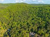 356 Trap Mountain Road - Photo 48