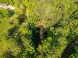 356 Trap Mountain Road - Photo 6