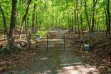 356 Trap Mountain Road - Photo 8