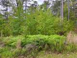 vacant land Doubloon Circle - Photo 2