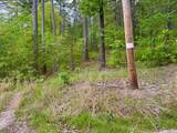 vacant land Doubloon Circle - Photo 8