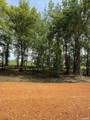 TBD Maddox Court - Photo 16
