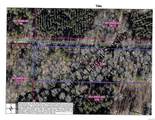 3.64 Springlake - Photo 2
