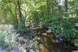 TBD Stoney Point Road - Photo 8