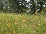 TBD Hwy 84 - Photo 2