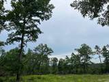 TBD Hwy 84 - Photo 4