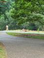 201 Breezehill Road - Photo 4