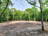 --- Carpenter Dam - Photo 12
