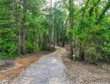 --- Carpenter Dam - Photo 8
