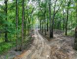 --- Carpenter Dam - Photo 9