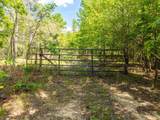 RPID   115120 Cedar Creek Road - Photo 29