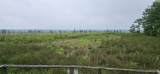 86 Waterfront Cove - Photo 7
