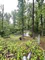 1808 Royal Oaks Drive - Photo 42
