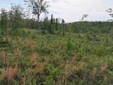 XXX Mcgrew - Photo 16
