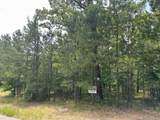 232 Dellmere Drive - Photo 1