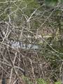 Lot 31 Forest View Circle - Photo 10
