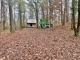 930 Cox Creek - Photo 3