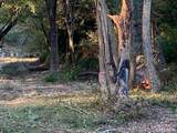 40 Shepards Glen - Photo 19
