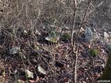 40 Shepards Glen - Photo 20