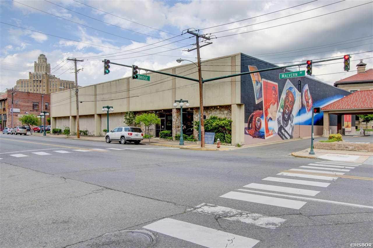 225 Malvern Avenue - Photo 1