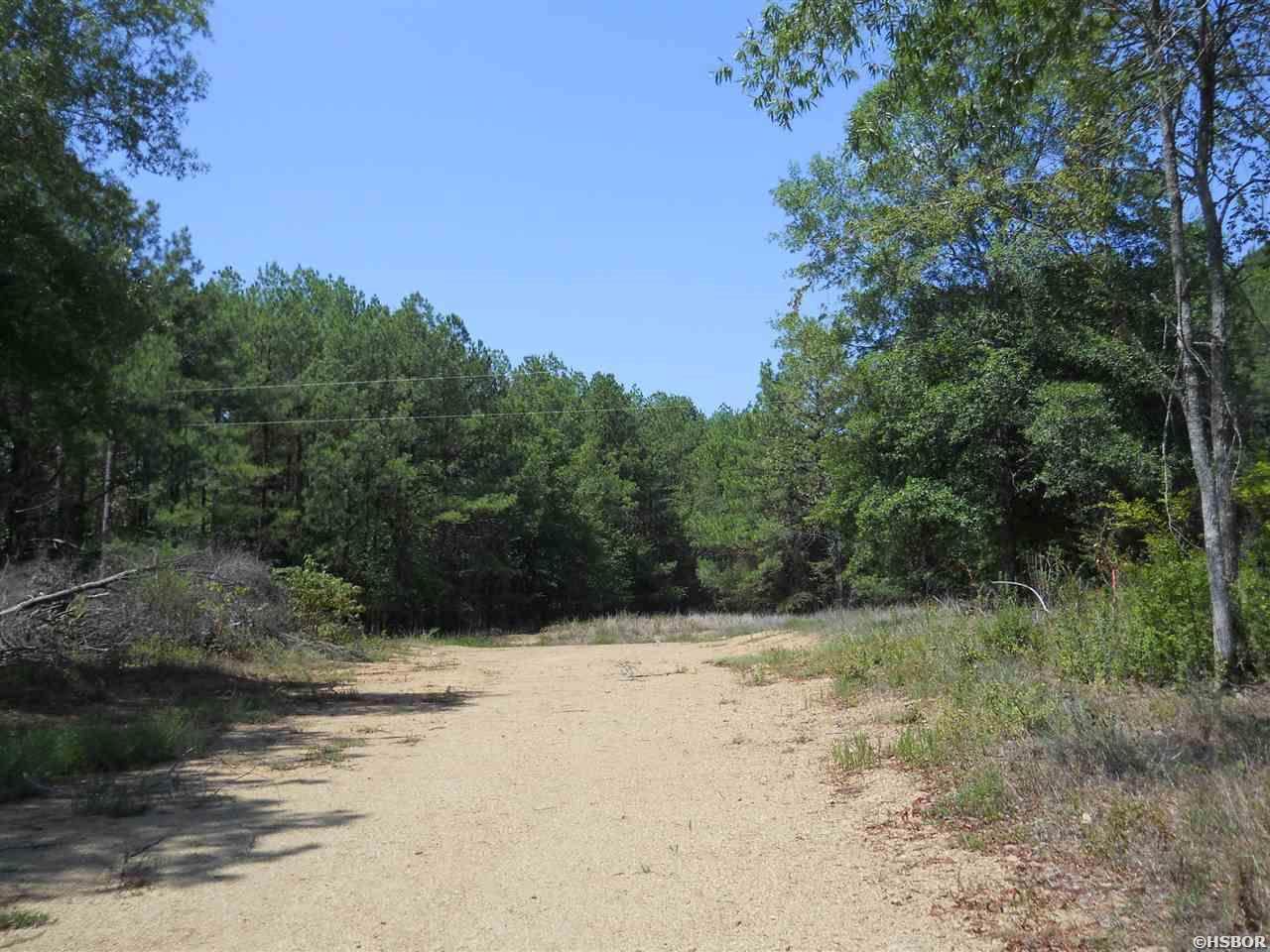 TBD Gabor Lane - Photo 1