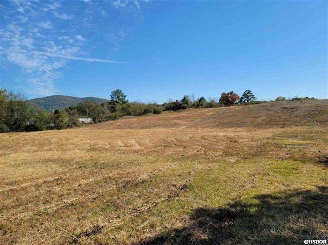 XXX Mountain Pine Road - Photo 1