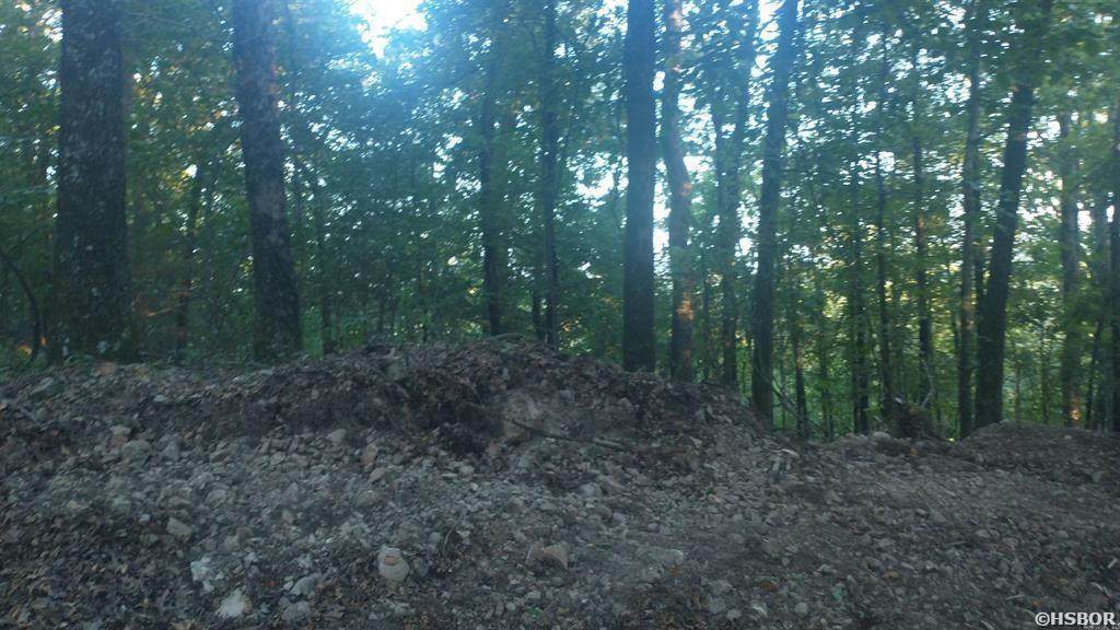 Burnham Mountai Hwy 8 - Photo 1