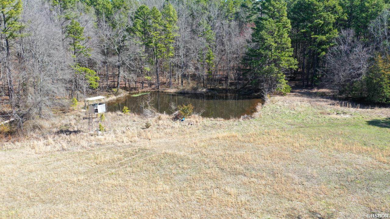 207 Rains Lane - Photo 1