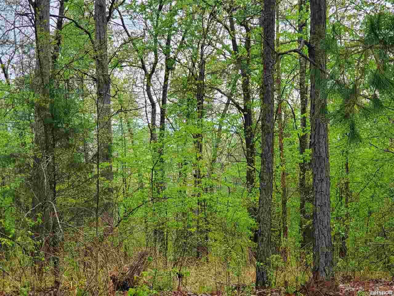 lot 770A Plum Hollow - Photo 1