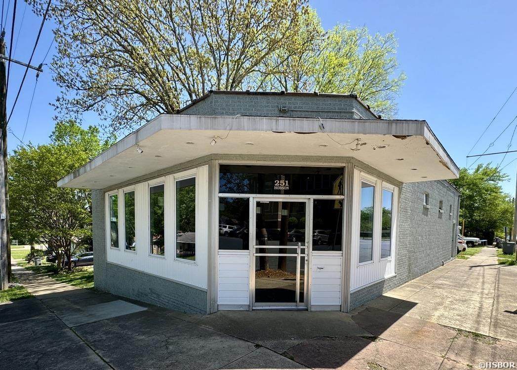 251 Hobson Avenue - Photo 1