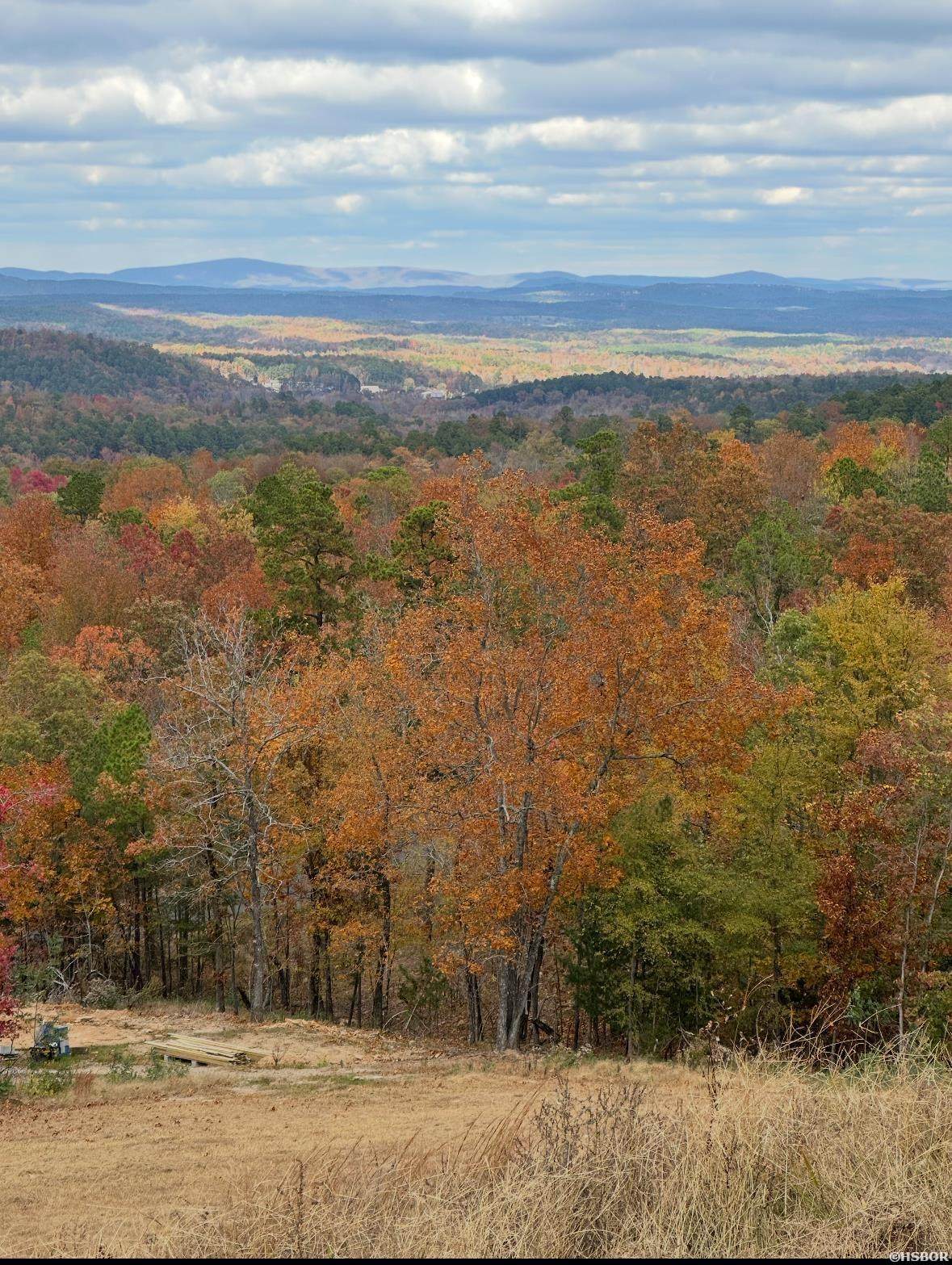 Lot 22 Most High Loop - Photo 1